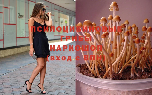 гидропоника Балабаново