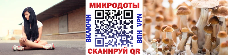 площадка телеграм  KRAKEN ССЫЛКА  Верещагино  Галлюциногенные грибы прущие грибы 